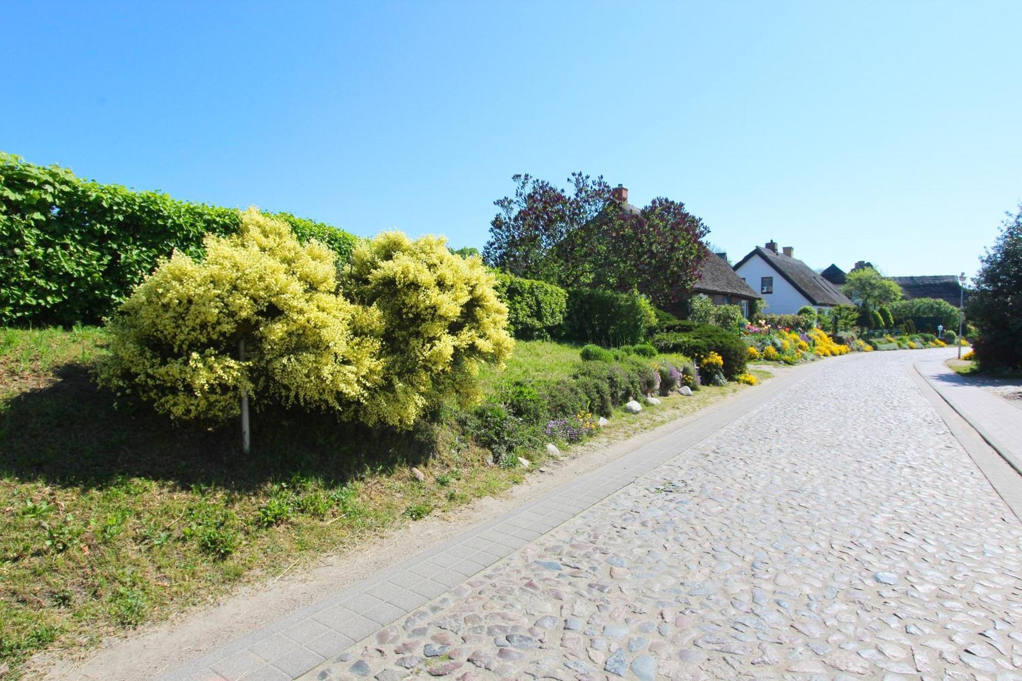 Appartement Mit Meerblick Und Gartennutzung - Haus Inselwind Meerstrand